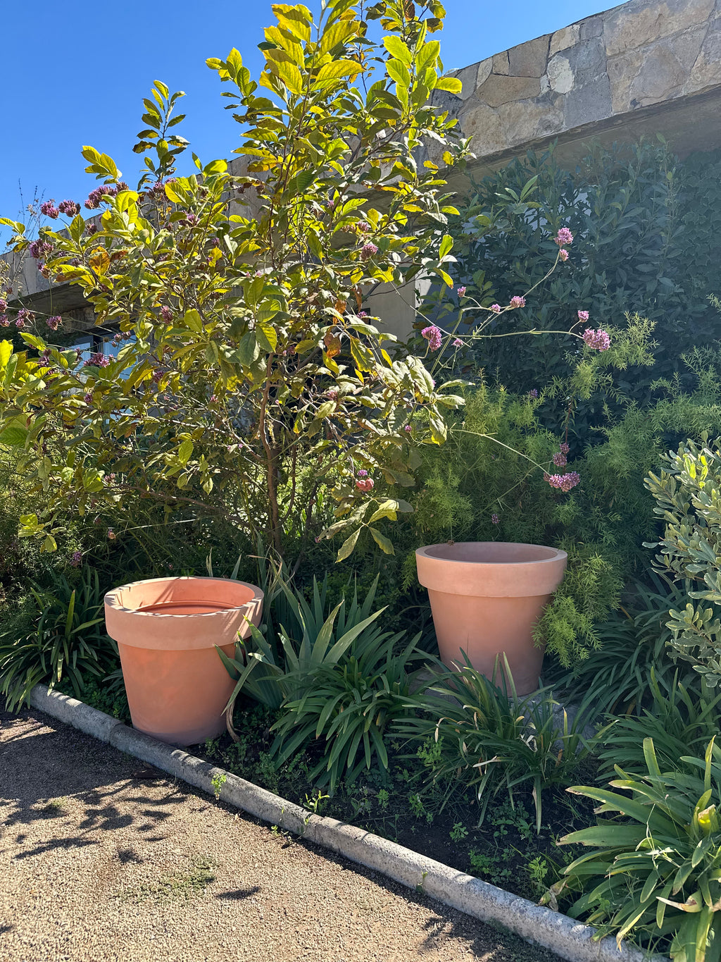 Essential Terracota