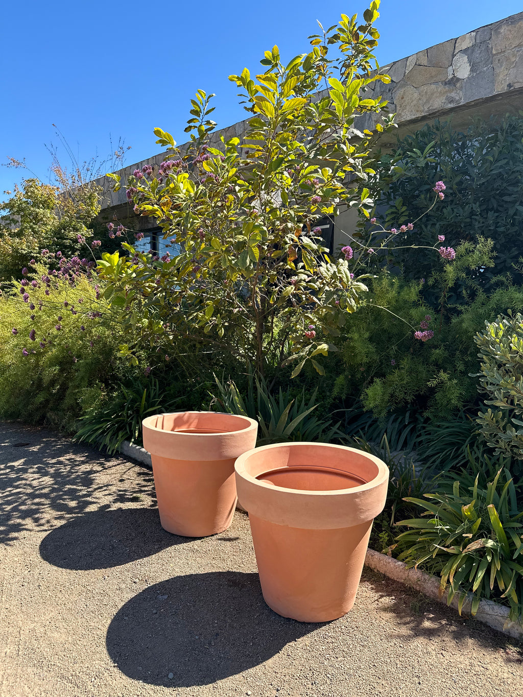 Essential Terracota