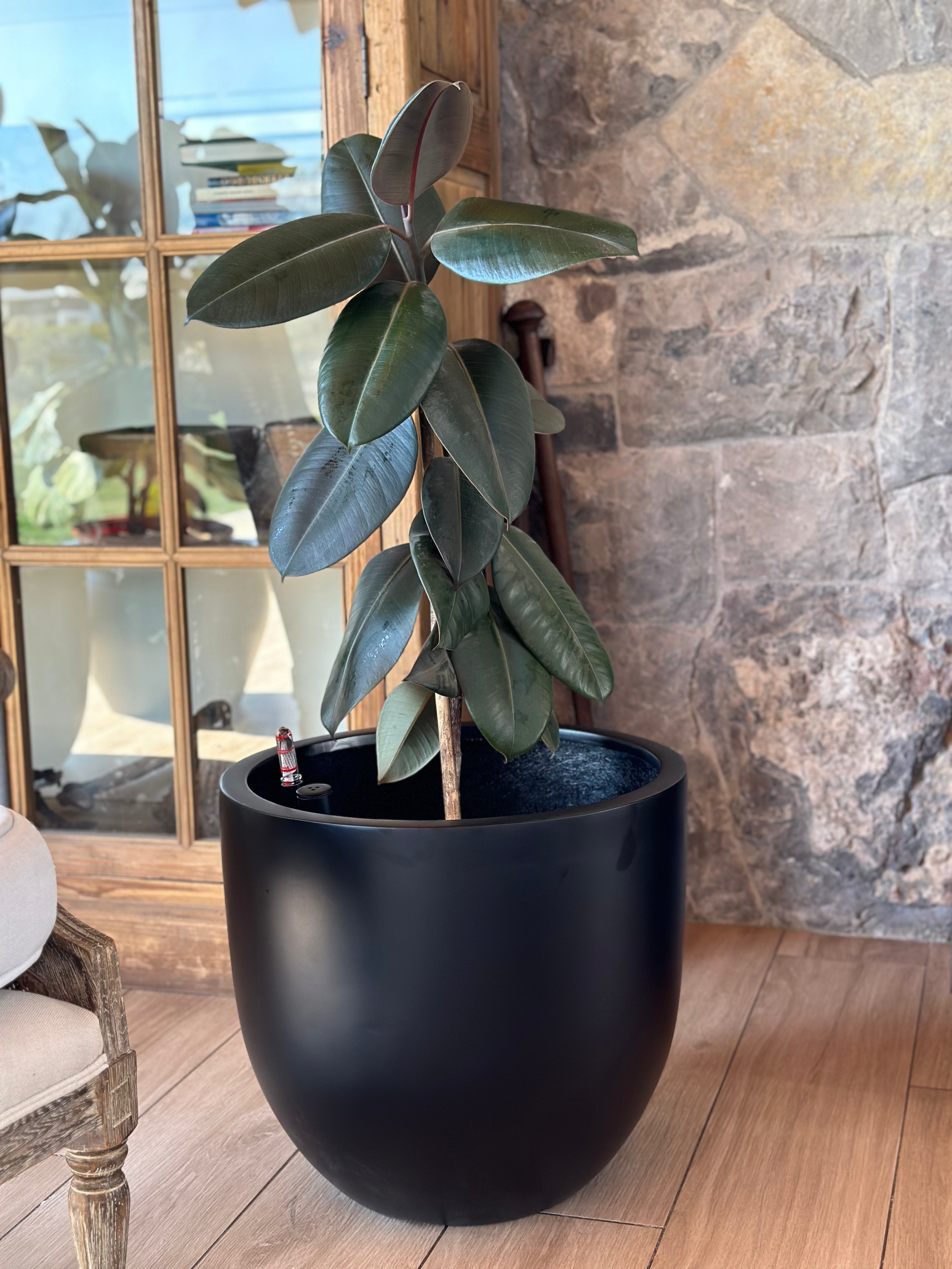 Modelo Bool Autoregante