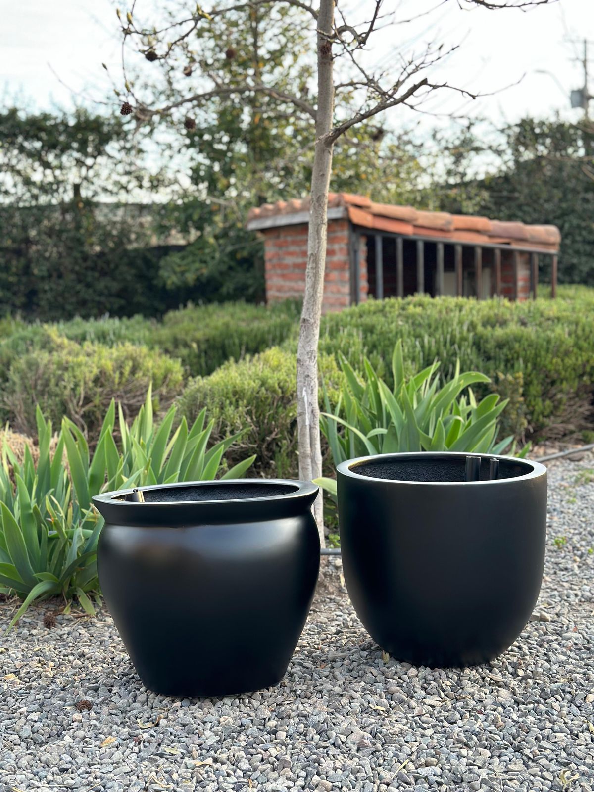 Modelo Bool Autoregante