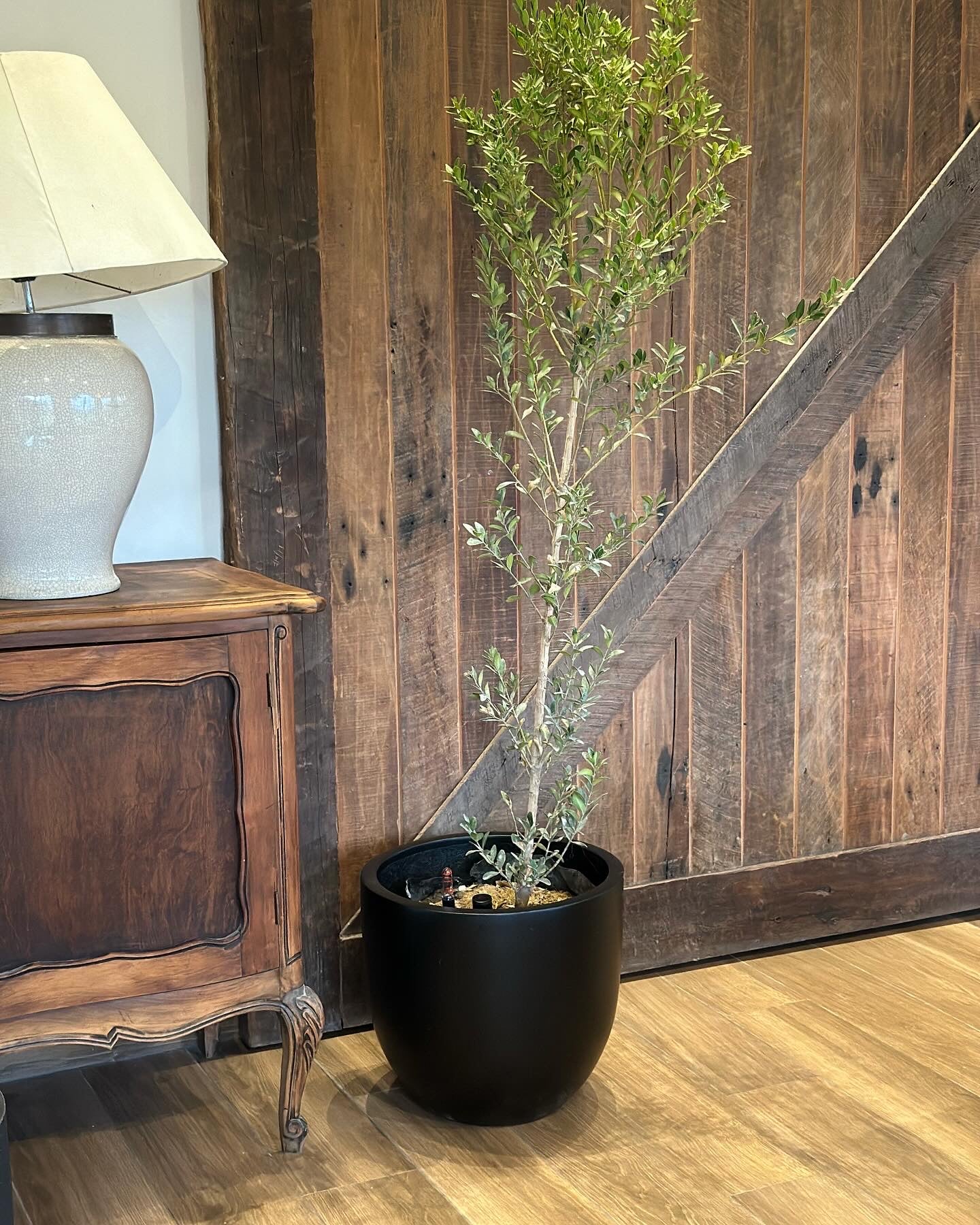 Modelo Bool Autoregante