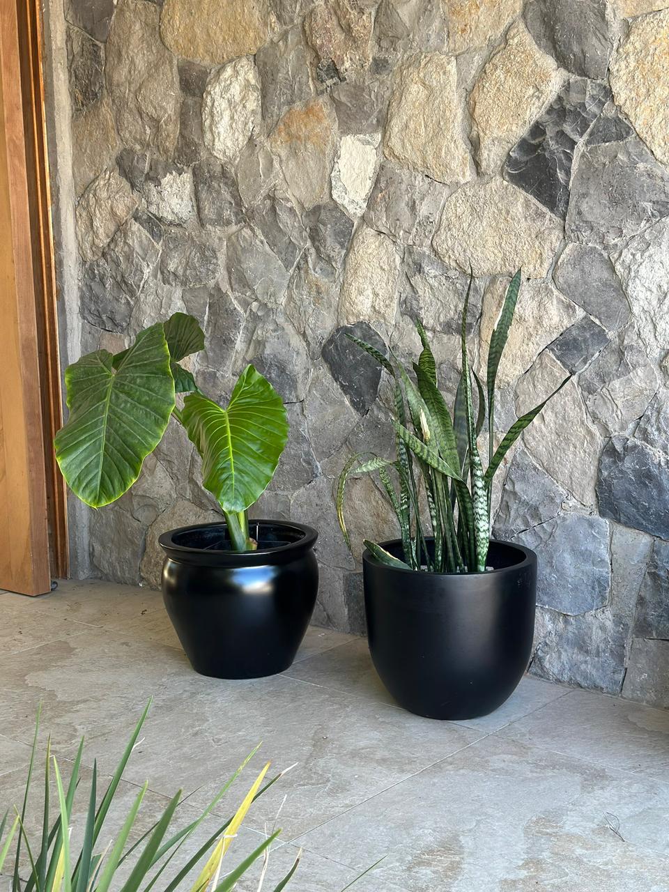 Modelo Bool Autoregante