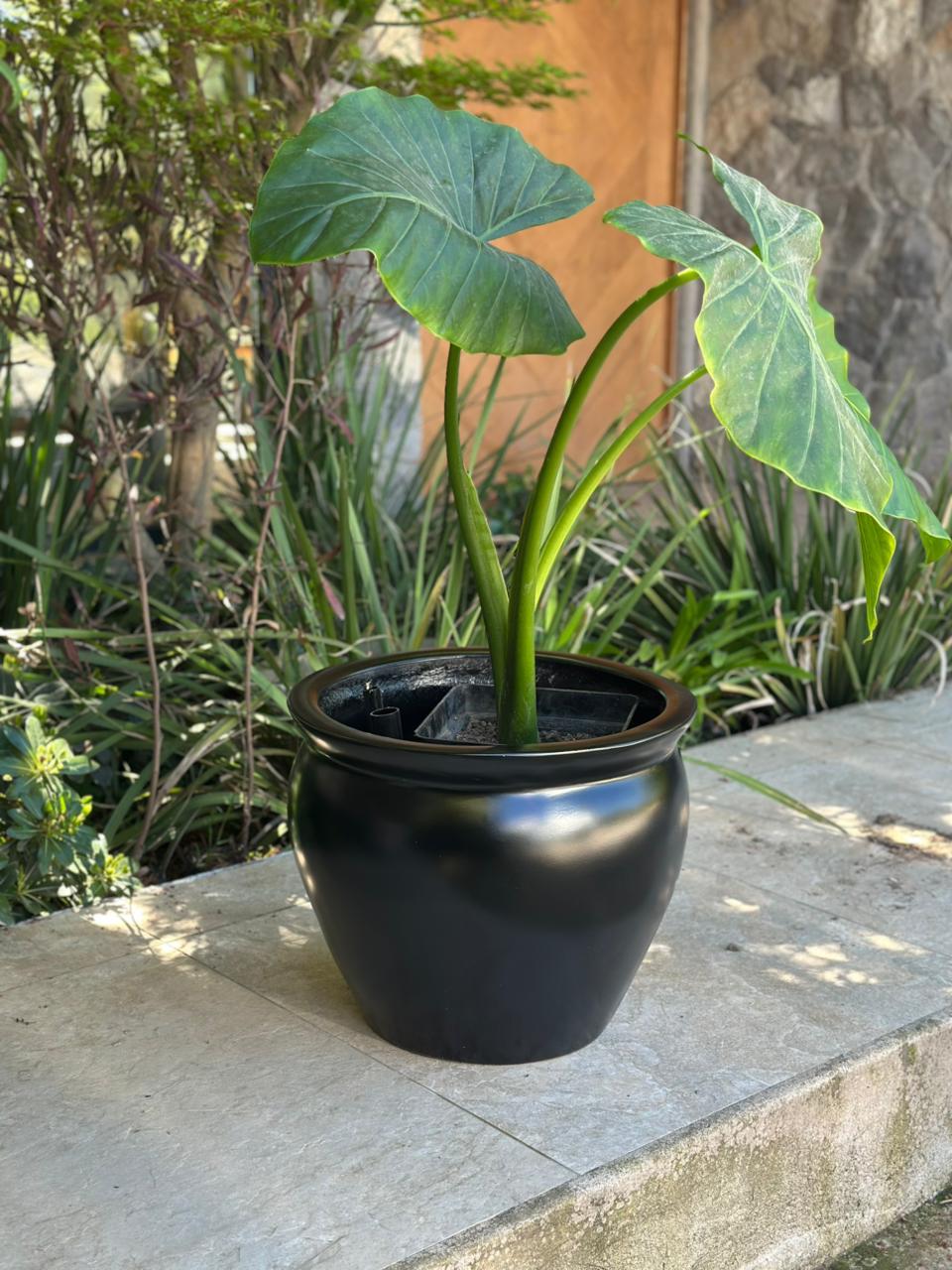 Modelo Tinaja Autoregante