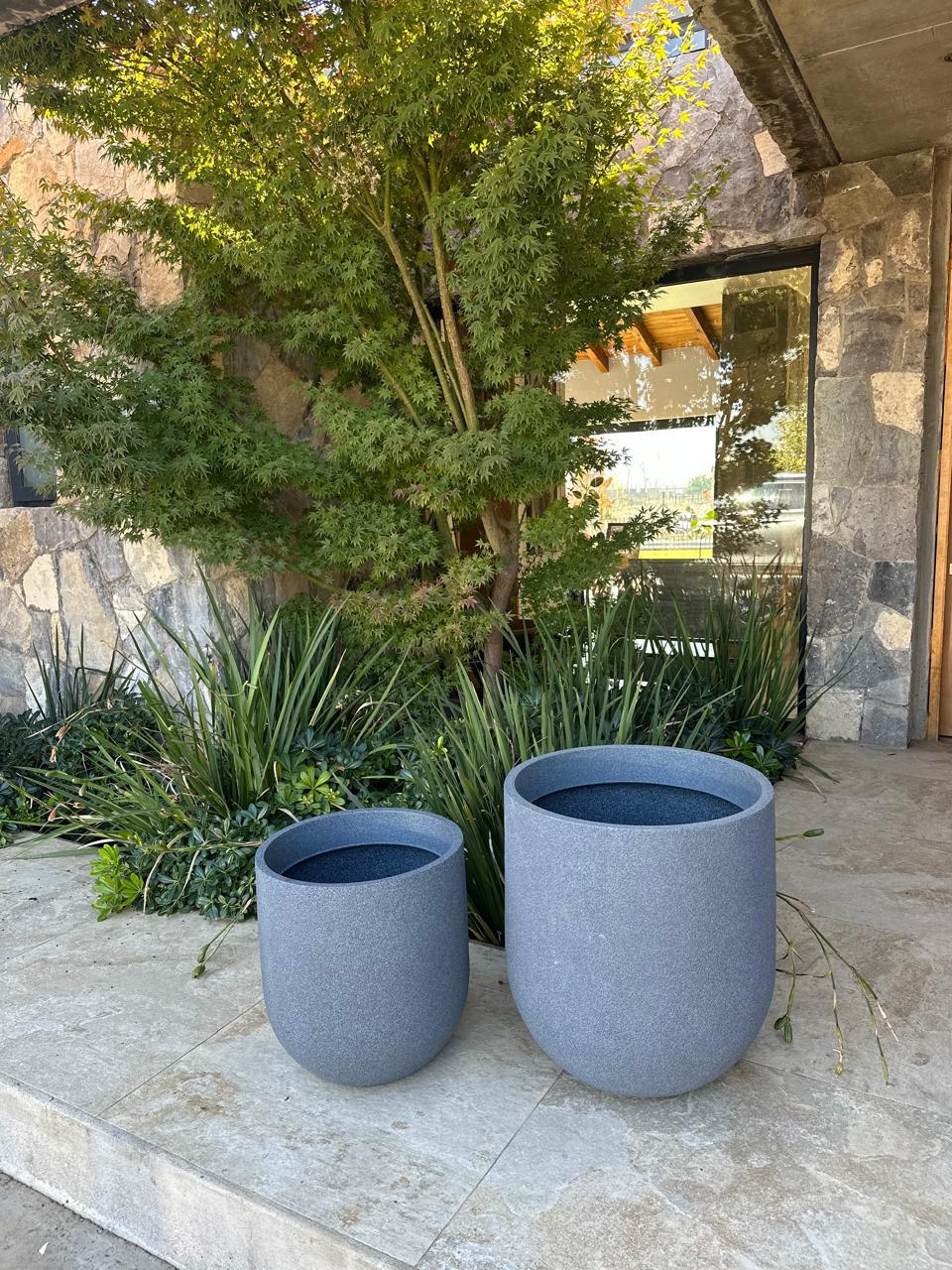 Angkor Gris