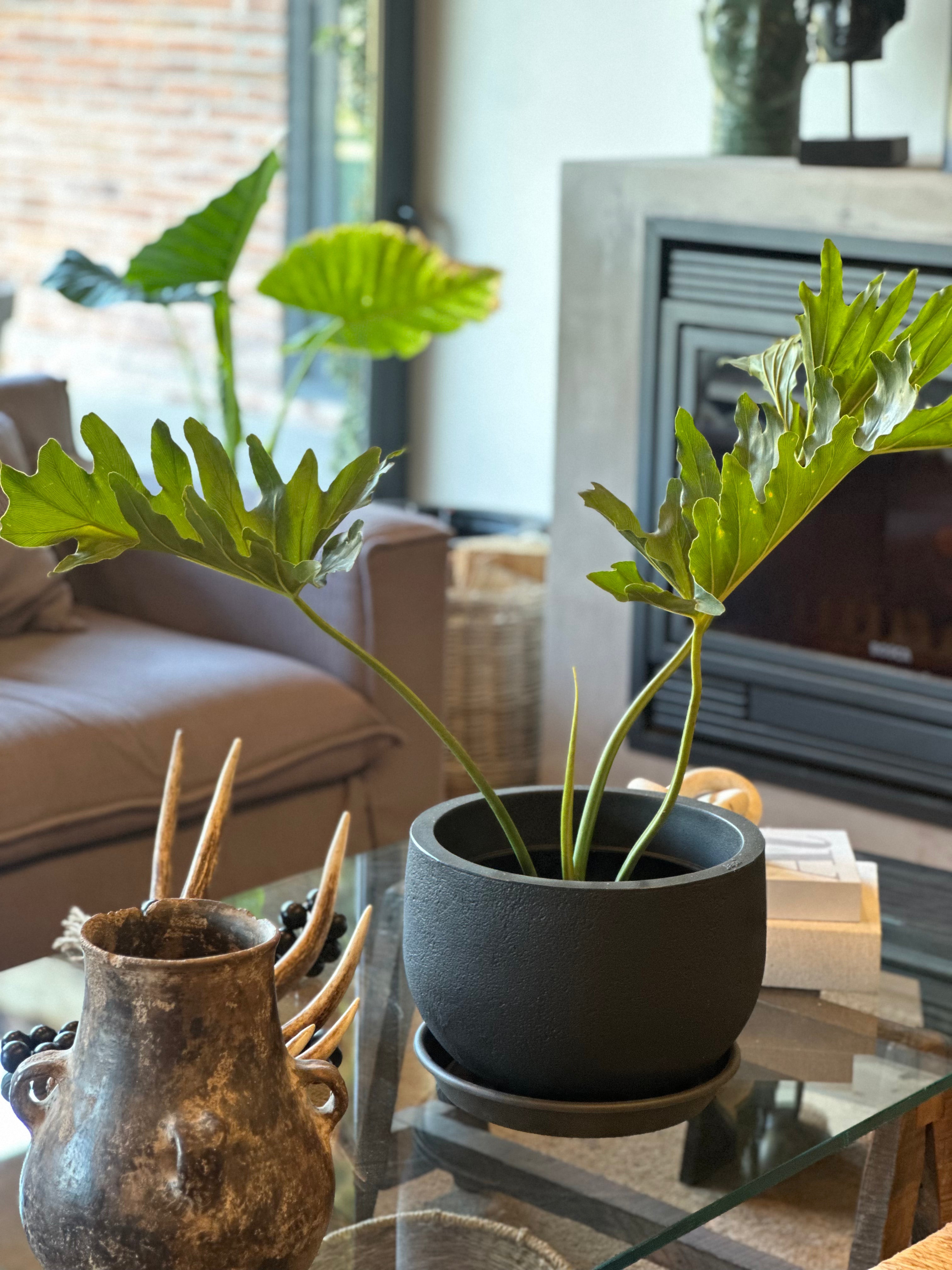 Rustic Round Grafito