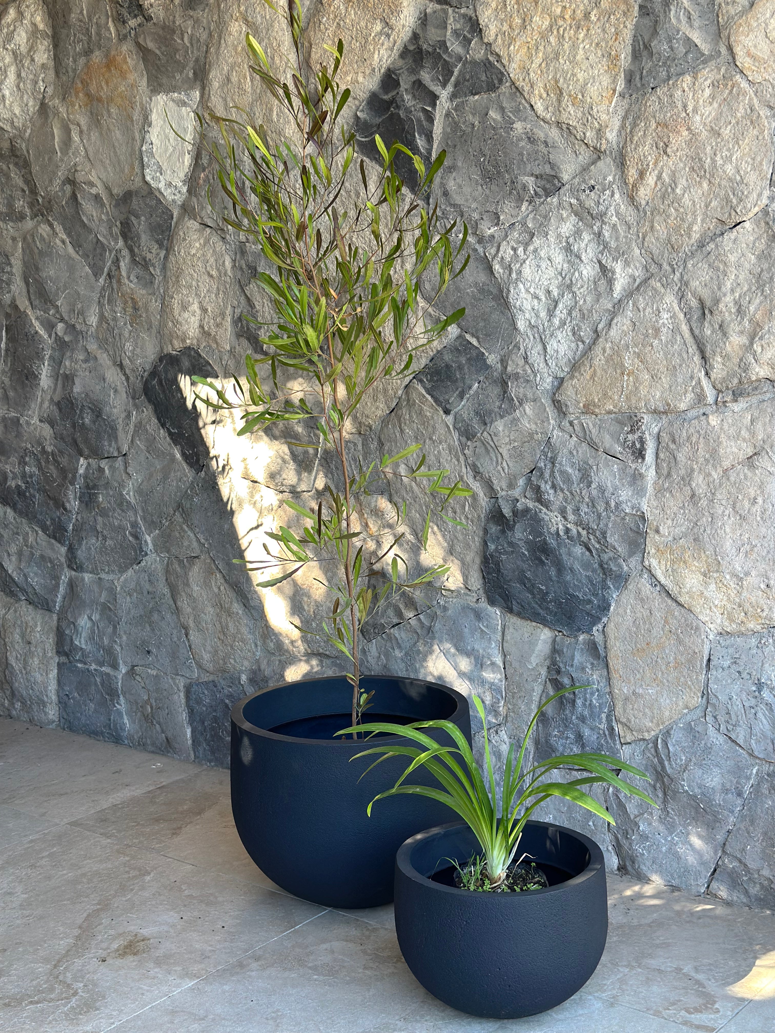 Rustic Round Grafito